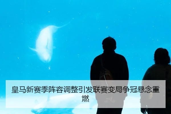 皇马新赛季阵容调整引发联赛变局争冠悬念重燃